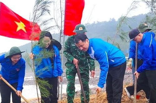 Trồng hơn 10.000 cây phi lao trên rừng phòng hộ ven biển Nghệ An