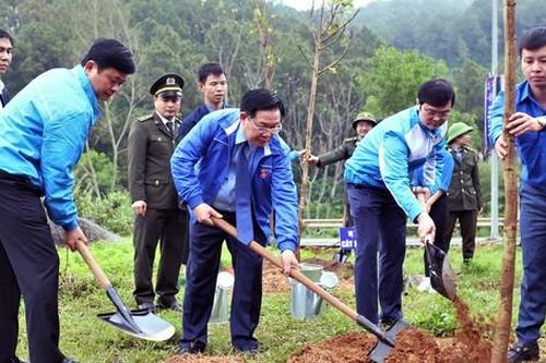 Trồng hơn 3 triệu cây xanh sau lễ ra quân hưởng ứng Tết trồng cây