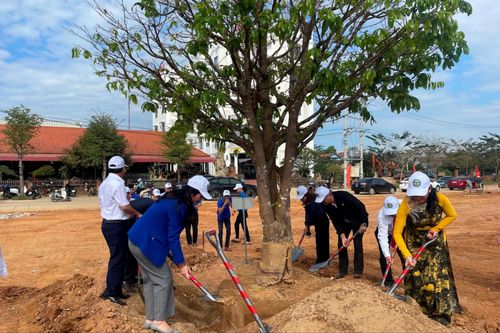 Xây công viên, trồng mai vàng để phục vụ cộng đồng