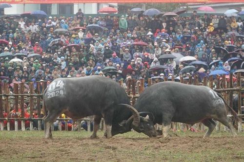 Người dân đội mưa theo dõi màn đấu đầy kịch tính của các 'ông Cầu'
