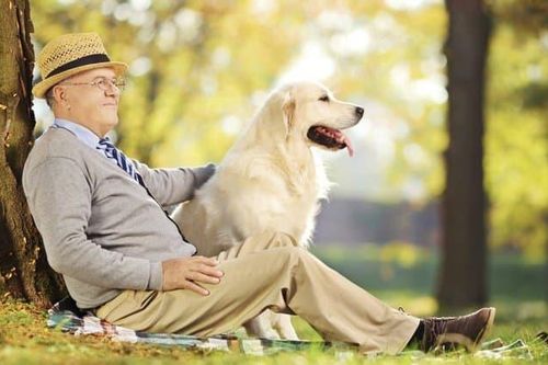Lý do những người lớn tuổi nên nuôi thú cưng?