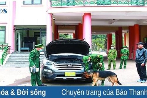 Đảm bảo an ninh khu vực cửa khẩu những ngày đầu xuân