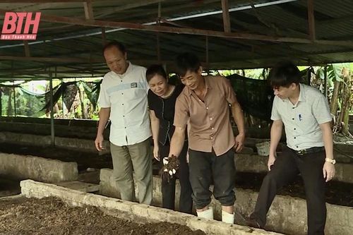 Nghiên cứu, phát triển mô hình kinh tế tuần hoàn trong nông nghiệp