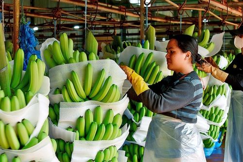 Chính sách giảm thuế là điểm tựa cho doanh nghiệp phục hồi tăng trưởng