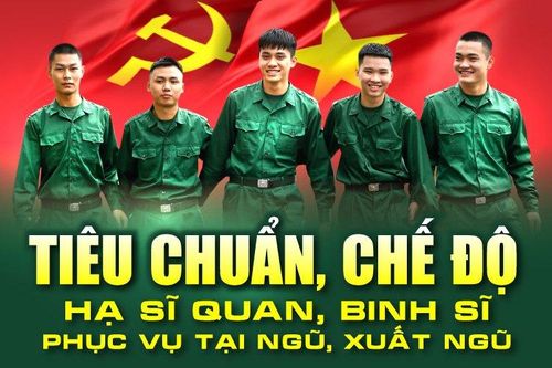 Tiêu chuẩn, chế độ phụ cấp, trợ cấp của hạ sĩ quan, binh sĩ phục vụ tại ngũ, xuất ngũ
