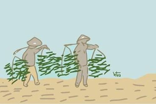 Tháng Giêng theo mẹ ra đồng