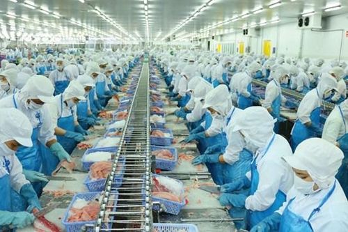 Doanh thu của Vĩnh Hoàn (VHC) tăng 102% trong tháng đầu năm 2024