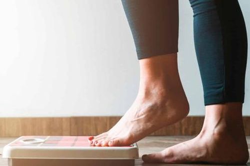 Protein động vật hay thực vật giúp kiểm soát cân nặng?