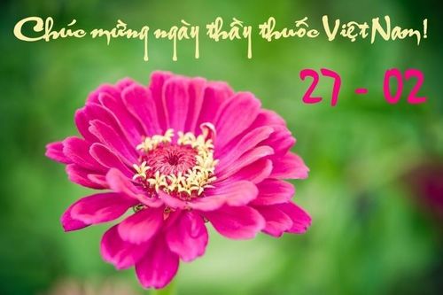 Lời chúc 27/2 - Lời chúc ngày Thầy thuốc Việt Nam 27/2/2024 hay và ý nghĩa nhất