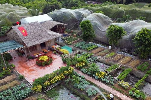 Cô gái Cần Thơ dựng khu vườn 1500m2 như cổ tích, khách đến 'mê quên lối về'