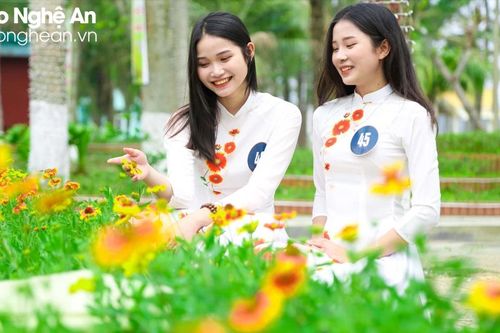 Cuộc thi 'Nữ thanh niên thanh lịch Cửa Lò' năm 2024 sẽ chính thức khởi động vào đầu tháng 3