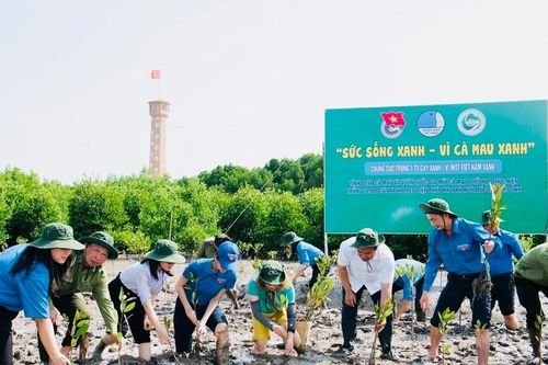 Hàng loạt hoạt động sôi nổi sẽ được tổ chức trong Tháng Thanh niên năm 2024