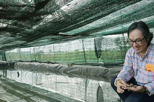 Anh nông dân kiếm hơn 1 tỷ/năm nhờ nuôi con vật 'rất đỗi đời thường'