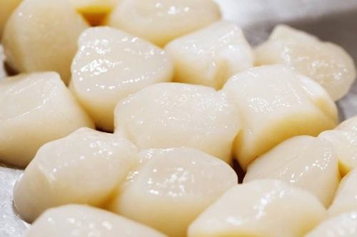 Xuất khẩu sò điệp Hokkaido sang Đông Nam Á tăng gấp 2,5 lần