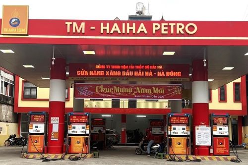 Hải Hà Petro chây ì, chưa nộp hơn 600 tỷ đồng vào ngân sách