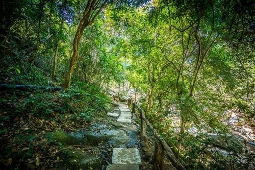 Khánh Hòa: Tìm thấy thanh niên lạc ở khu du lịch Ba Hồ sau 10 ngày