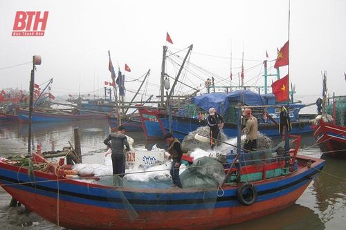 Cho những chuyến cá đầy