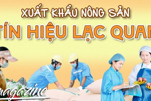 E-magazine Xuất khẩu nông sản: Tín hiệu lạc quan