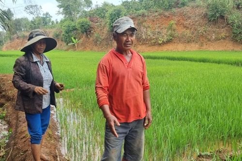 Người dân Ia Kênh bức xúc vì mùi hôi thối từ trang trại chăn nuôi