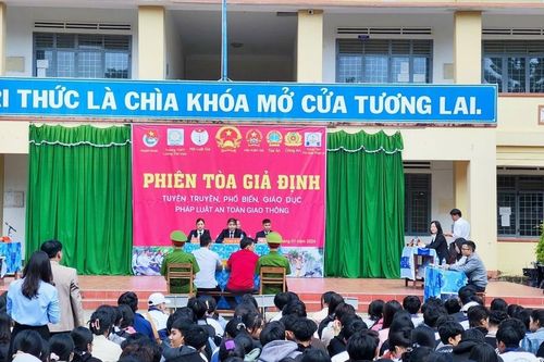 Những hệ lụy khi giao xe cho người không đủ điều kiện lái xe