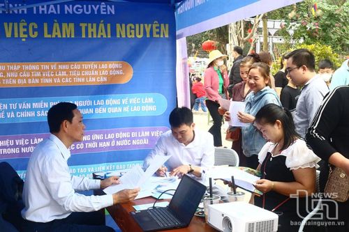 Nhiều cơ hội việc làm tại các doanh nghiệp