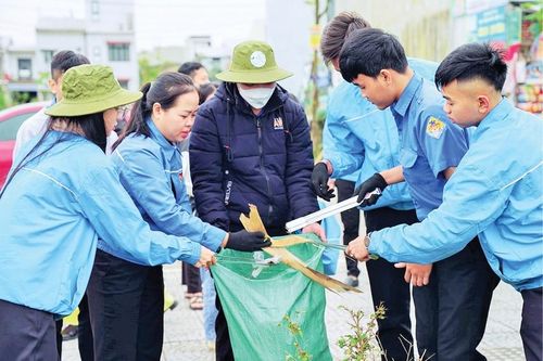 Tạo chuyển biến từ phong trào 'Ngày Chủ nhật xanh'