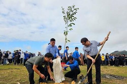 Đại học Huế trồng 1.000 cây xanh hưởng ứng Tết trồng cây
