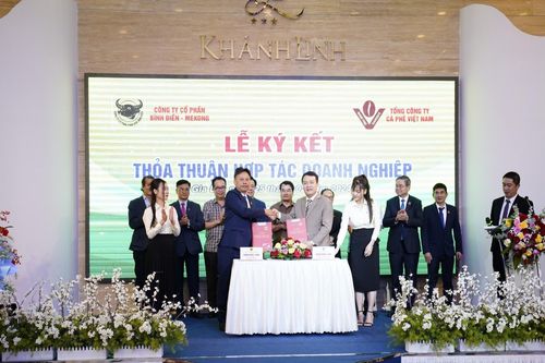 Công ty CP Bình Điền - MeKong và Vinacafe hợp tác phát triển sản xuất cà phê bền vững