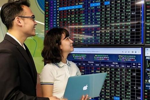 Cổ phiếu ngành nào được chuyên gia chú ý trong năm 2024?