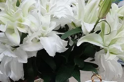 Người làm thuê