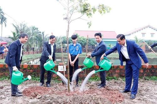 Hà Tĩnh: Trồng 120.000 cây phi lao chắn sóng tại bãi biển Thiên Cầm