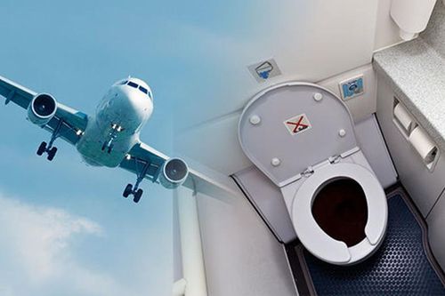 Điều tiếp viên khuyên hành khách nên làm khi dùng toilet trên máy bay