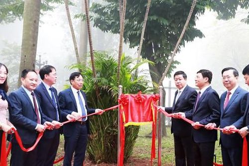 Tăng phân cấp, ủy quyền, tăng cơ hội và trách nhiệm