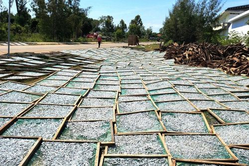 Nhộn nhịp làng cá khô Tịnh Kỳ