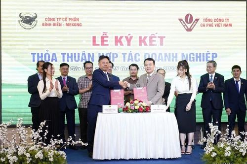 Hợp tác thúc đẩy sản xuất cà phê bền vững