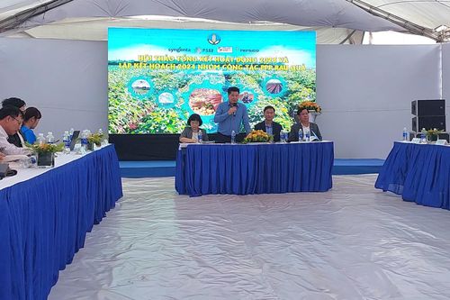 Hợp tác công-tư phát triển vùng nguyên liệu rau quả