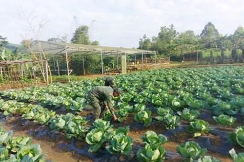 Chuẩn bị chu đáo, sẵn sàng tiếp nhận, huấn luyện chiến sĩ mới
