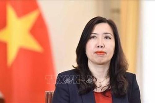 Tham vấn chính trị Việt Nam - Đan Mạch lần thứ 2