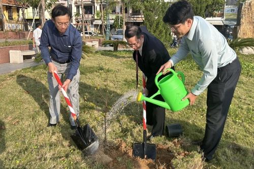Trồng cây xanh tại Khu di tích Nghĩa Trủng Hòa Vang