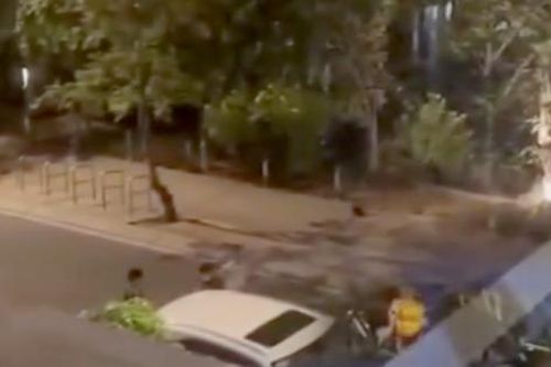 Đang xác minh đoạn video nhóm người cãi vã ở khu vực nhà Nam Em