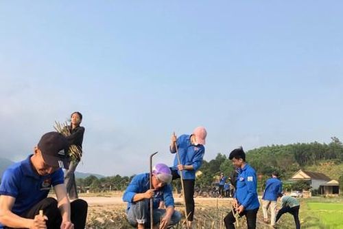 Khởi động Tháng Thanh niên, tuổi trẻ Hà Tĩnh thực hiện nhiều việc ý nghĩa
