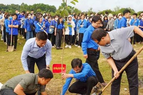 Tuổi trẻ ĐH Huế hưởng ứng cuộc vận động 1 triệu cây xanh đô thị