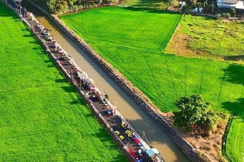 Chợ quê giữa đồng lúa xanh mướt bán trăm món ngon, đón nghìn khách mỗi ngày