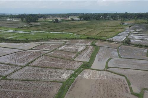 Kết luận thanh tra quản lý, sử dụng đất tại Hưng Yên