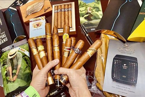Lễ hội xì gà Cuba sôi động ngày trở lại