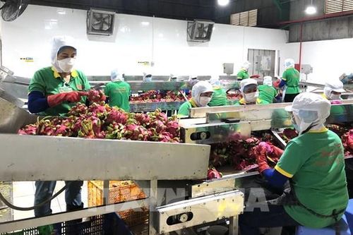 Doanh nghiệp tăng tốc sản xuất 'xanh' đáp ứng tiêu chuẩn xuất khẩu