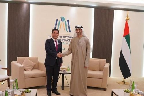 Đẩy nhanh tiến độ sớm ký kết FTA giữa Việt Nam - UAE