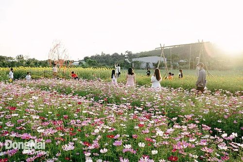 Thêm nhiều sản phẩm du lịch mới