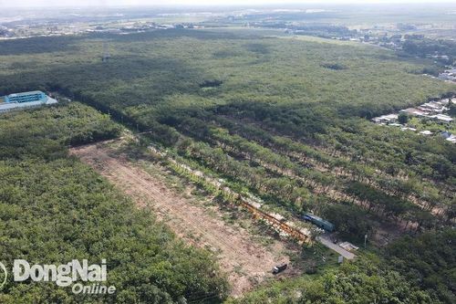 34 hộ dân thuộc dự án Đường vành đai 1, TP.Long Khánh đủ điều kiện bố trí tái định cư