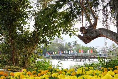 Những cây cầu gỗ trong thành phố